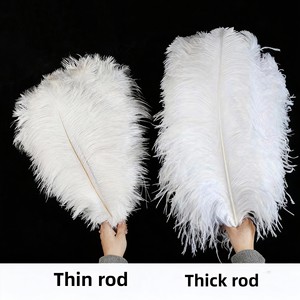 Plumes d'autruche D475 15-80 cm Afrique du Sud pour banquets, arches de mariage DIY, décorations d'allée, accessoires de table, spectacles ; Disponible - Product Image 3
