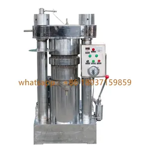 Cocoa Bean Oil Press Machine for Arica market