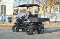 Carrito de Golf Eléctrico de Alta Calidad con 2 Asientos, Homologado para Circular por la Calle, con Batería de Litio y Neumáticos Todoterreno para Turismo