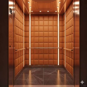 Ascensor Hidráulico de Diseño Moderno para Interiores/Exteriores, para Casas y Villas, Alternativa al Ascensor Eléctrico Otis para Hoteles - Product Image 1