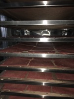 Diye Energy Commerciële Warmtepompdroger voor de verwerking van groenten, fruit, vis, vlees, worst en gedroogd vlees.