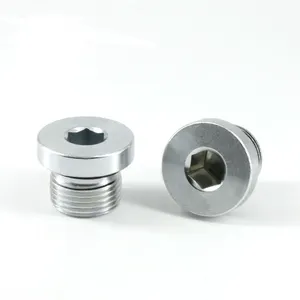 Hot Sale Zinc Plated Oil Screw Socket Head Pipe Plug Din908 Npt 1/4"