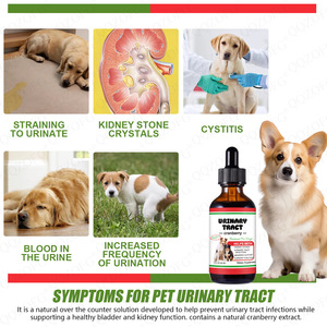 Капли для ухода за мочевыми путями собак с 100% натуральным экстрактом тыквенных семечек (OEM/ODM) |   Поддержка здоровья мочевого пузыря, сертифицировано ISO9001 - Product Image 3