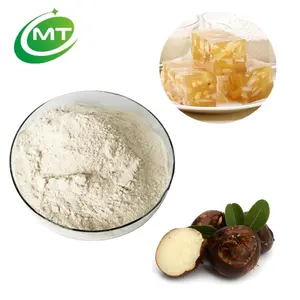 Organic Pure Natural Tasty HACCP Soluble Halal Chinese Eleocharis dulcis Water Chestnut Fruit Powder for Bakery and Dessert