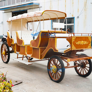 Carroza de Caballos de Lujo en Oferta, Vehículo Elegante para Viajes de Ocio, Carroza para 5-6 Personas, Eléctrica/Asistida por Caballos - Product Image 2