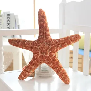 海洋生物毛绒坐垫和填充贝壳海螺海星毛绒玩具
