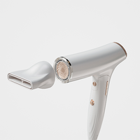 Sèche-cheveux ionique pliable professionnel pour salons, hôtels, haute vitesse, portable, moteur AC 110000 tr/min, puissance électrique pour les foyers