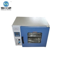 SKZ1015 250 ℃ 30L Horno seco de aire caliente de acero inoxidable 220V Secador de aire caliente para uso industrial