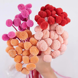 Arrangement de fleurs conservées Craspedia <span class=keywords><strong>rose</strong></span> bon marché et de haute qualité Fleurs décoratives pour la décoration de mariage à la maison - Product Image 1
