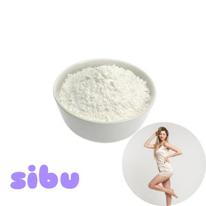 Sibu Poudre Matériel Minceur Poudre - Product Image 1