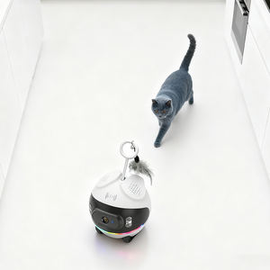 Connessione WiFi classico carino Tracking Pet Camera Auto da corsa in plastica soggiorno Monitor da cucina per cani gatti uccelli natale - Product Image 3