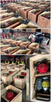 220V Diesel-/Benzinbetriebener Horizontaler Zementvibrator mit Stecker für Baustellen – Beton- und Schlammvibrator mit Abgasmotor