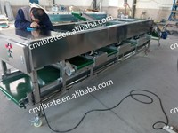 Machine de tri et de classement automatique industrielle VBJX pour fruits, légumes, grains de café, haricots verts, champignons