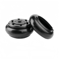 Accouplement de pneu flexible F60 avec élément en caoutchouc