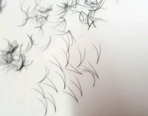 Cils 2D prêts à exporter numéro de modèle facile extensions de cils préfabriquées fournitures pour usage beauté exportation du Vietnam - Product Image 3