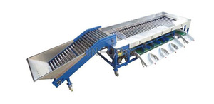 Macchina Automatica per la Selezione di <span class=keywords><strong>Frutta</strong></span> e Verdura, Attrezzatura di Alta Precisione per la Classificazione Alimentare per <span class=keywords><strong>Officine</strong></span> - Product Image 3