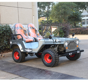 Mini Jeep 125CC à essence tout-terrain, kart à pédales 2 places, buggy des dunes, mini camion pour adultes et enfants, course en plein air - Product Image 6
