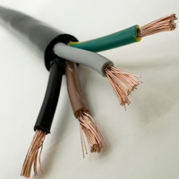 H07RN-F 14AWG Stromkabel aus Gummi, 2-adrig, 2,5 mm², 450/750 V, fein verseiliges Kupfer, öl-/wetter-/ozonbeständig