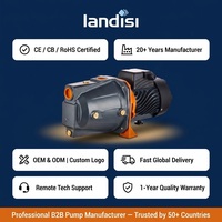 Pompe à eau à jet LANDISI 1 CV pour irrigation agricole et salle de bain, à haute pression