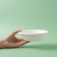 Assiettes et bols ronds jetables en bagasse pour le déjeuner, les fêtes, boîtes à lunch écologiques