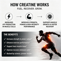 Créatine monohydrate OEM personnalisée, formule sans saveur, pour développer la masse musculaire, nutrition sportive pour les athlètes, récupération après l'entraînement