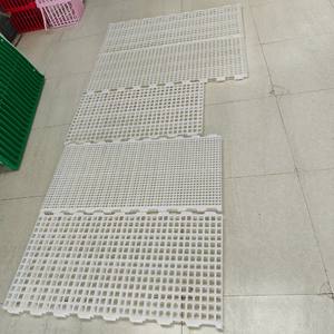 الشرائح البلاستيكية لتربية الدواجن * 50 دجاج اللاحم ، معدات أرضيات مضلدة عالية الجودة لتربية الدواجن - Product Image 5