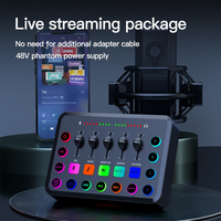 Carte d'enregistrement sonore de mélangeur Pro RGB Light blanc et noir 2024 pour microphone d'ordinateur de téléphone avec carte son batterie intégrée
