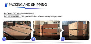 Máquina de <span class=keywords><strong>Curl</strong></span> de <span class=keywords><strong>Antebrazos</strong></span> para Gimnasio Comercial, con Placas de Peso, Construcción de Acero de Seguridad, Certificación CE - Product Image 4