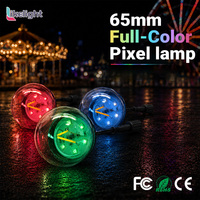 Projecteur LED à filament RGBW 65 mm pour extérieur, 3W DC24V IP67 SPI, pour éclairage de façade de bâtiment, éclairage de projet, éclairage de vacances