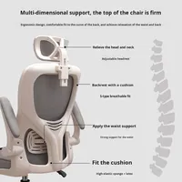 Chaise d'ordinateur chaise d'étude à domicile pour les élèves du primaire et du secondaire hauteur réglable moderne pas fatigué assis longtemps