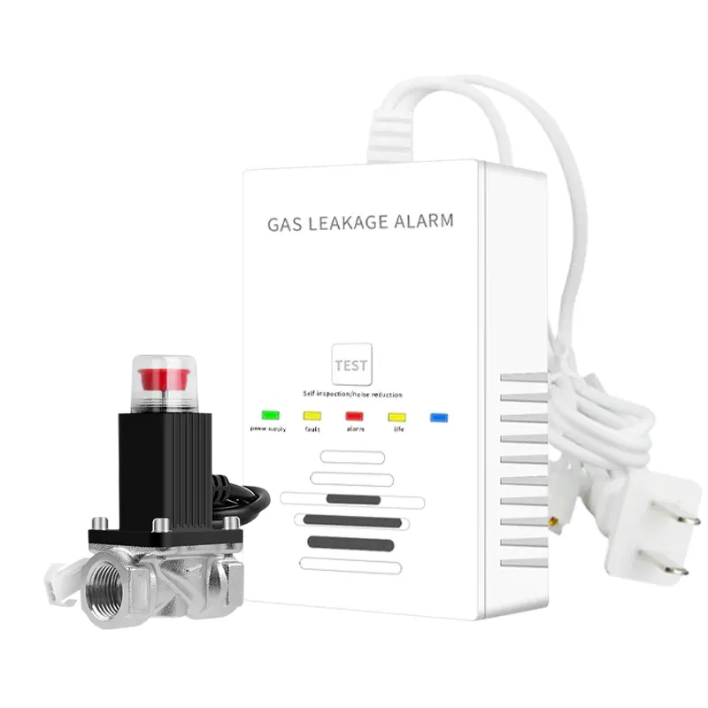 Ac 110V-240V Standalone Of Magneetventiel Functie Lpg Brandbaar Gas Lek Detector Sensor Voor Huishoudelijke Keuken Beveiligingsalarm