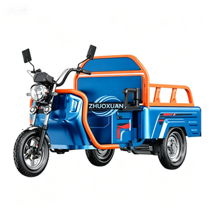 Tricycle électrique à 3 roues, caisse ouverte, moto cargo pour adultes, directement de l'usine - Product Image 1