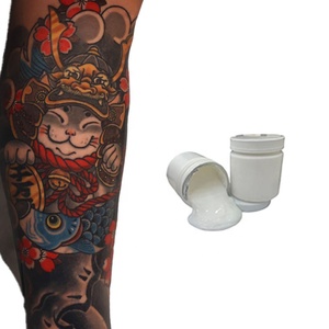 Fábrica personalizada tatuaje blanco crema Maquillaje tatuaje suministros venta al por mayor Microblading máquina ceja Nano pigmento para Pmu - Product Image 1