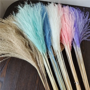 Flor de batidor pequeña blanca fresca para decoración de bodas y fiestas en el hogar <span class=keywords><strong>10</strong></span> tallos por paquete Flor de Pampa seca - Product Image 3