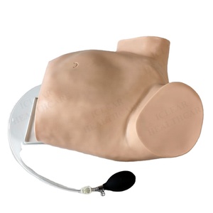 चार-कदम Palpation, गुदा परीक्षा और योनि परीक्षा प्रशिक्षण मॉडल - Product Image 1