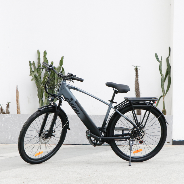48V 15Ah 500W Reasonable Price Bicycle Electric City Bike with Pedal for Adult Electric Bike