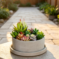 Pot de fleurs circulaire en ciment à profil bas avec plateau, jardinière en béton pour succulentes, conteneur de jardinage de table