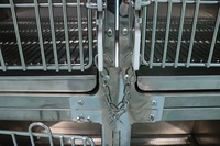 Cage double pour chien en acier inoxydable, cage de transport pour animaux de compagnie, cage d'hébergement durable pour usage intérieur et extérieur