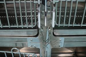 Çift köpek kafesi köpek evi paslanmaz çelik Pet kafesleri & evler Pet kafesleri köpek kulübesi Pet yatılı kafes Pet Shop kafes - Product Image 6