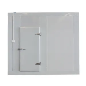 Chambre froide conteneurisée portative actionnée par mobile de chambre froide de cabinet d'unité de réfrigération