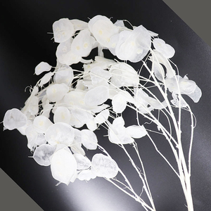 Été Flora En Gros décoratif fleurs naturelles préservées lunaria pour la décoration intérieure - Product Image 3