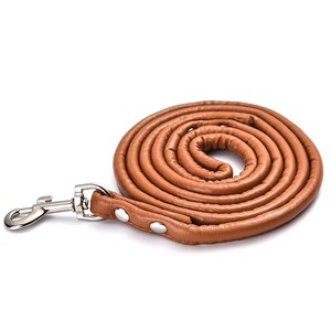 Wasserdichter Collier Pour Chien Langlebiger Corde Pour Chien Longe Chien Etanche - Product Image 6