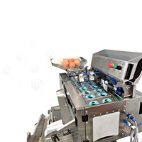 Machine commerciale de séparateur de jaune de blanc d'oeuf cassant et de séparation