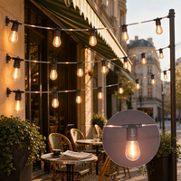 Guirlande lumineuse LED S14 24V DC, 10 m, 20 ampoules, fil en caoutchouc noir, pour extérieur, terrasse, restaurant