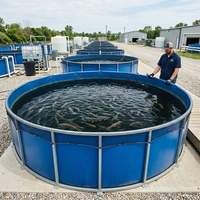 Bassin d'aquaculture pliable Neptune en bâche PVC, remplaçant les bassins traditionnels en fibre de verre pour l'élevage de poissons