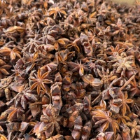 Graines d'anis étoilé séchées naturelles de marque Yongjiang, en gros, prix personnalisé, provenance Guangxi, pour la vente en gros directe d'usine