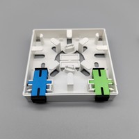 86 Type Fiber Optic Face Plates Wall Box Mini Type Roseta 2ports Nap Box Caja pour FTTH