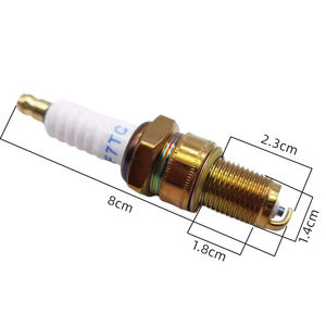 Bougie d'allumage Micro-Spark F7TC avec buse 170F pour tondeuse à essence, scie à huile, débroussailleuse, boîte en fer L7T - Product Image 2