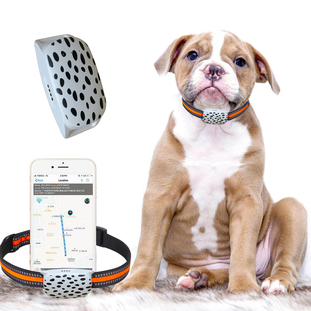 Hot Pet Mini GPS Tracker with Collar Dog Locator for Cat G18 No Distance Restriction Remote Control Real Time Tracking Device