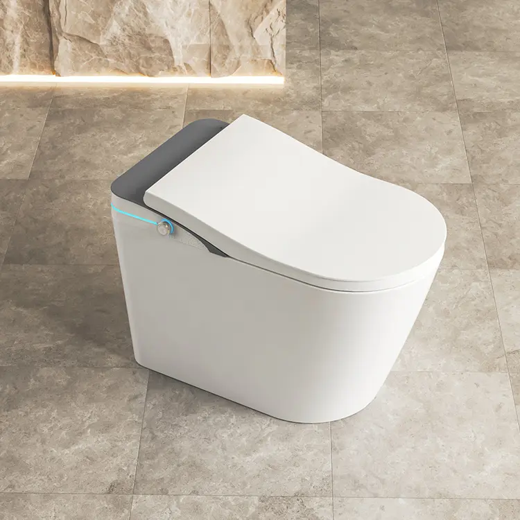 Smart Grey Farbe Toiletten schüssel Smart Toilette Intelligent Mit Fernbedienung